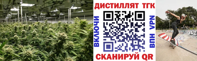 Купить  Велиж  ТГК вейп 